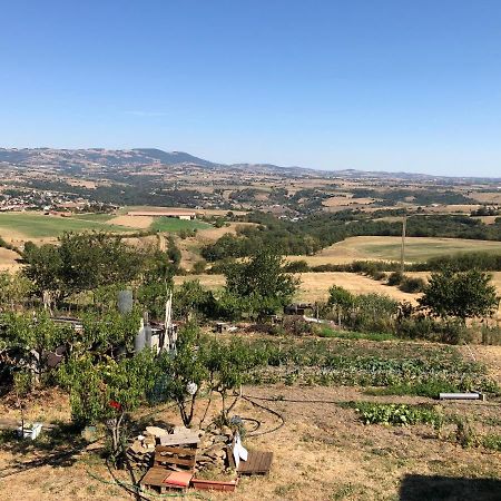 Gite Cosy 25 Min Lyon Vienne St Etienne Longes Zewnętrze zdjęcie